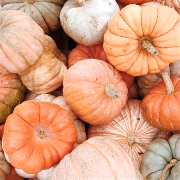 🌿 Meet Me  🌿 - Picture 10 of 16